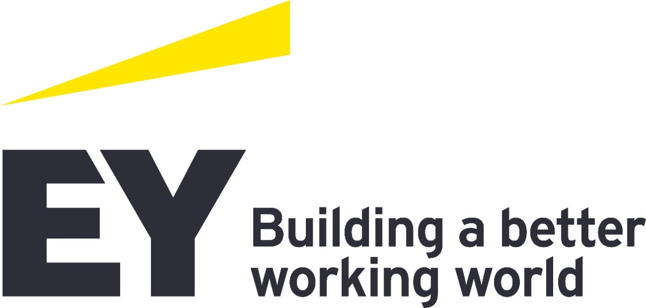 EY Ford Rhodes Pakistan